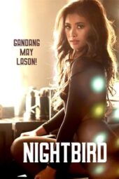 Nonton Film Nightbird (2023)